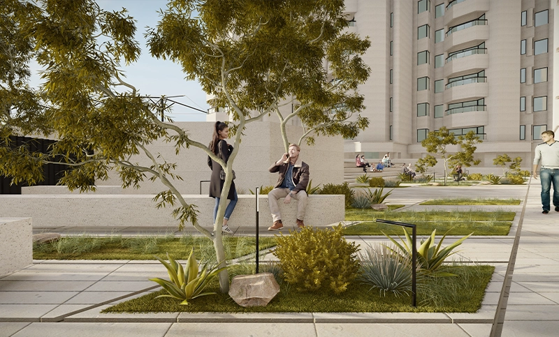 WAFRA BREEZE  RESTORATION